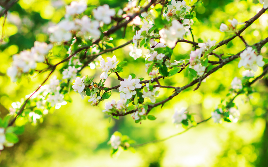 Spring Wellness Challenge: Moving into March with Etanics