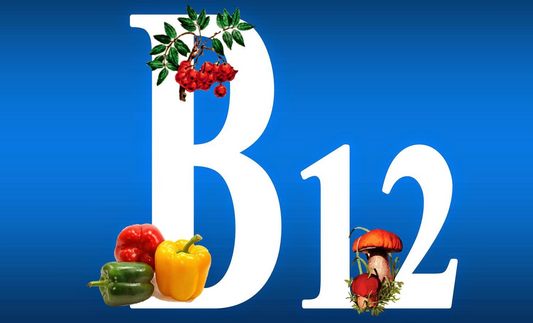 The Vital Vitamin B12