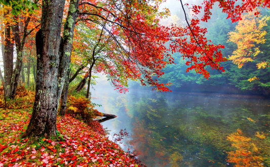 5 Essential Tips for a Vibrant Autumn Season