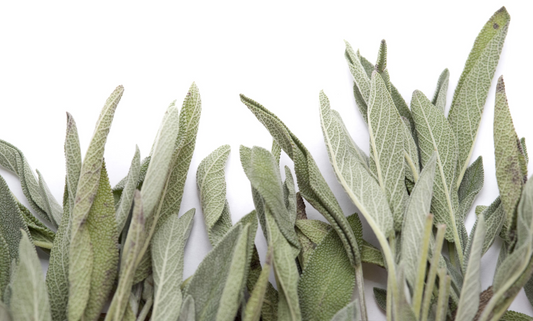 The Health Benefits of Sage Leaf Supplements