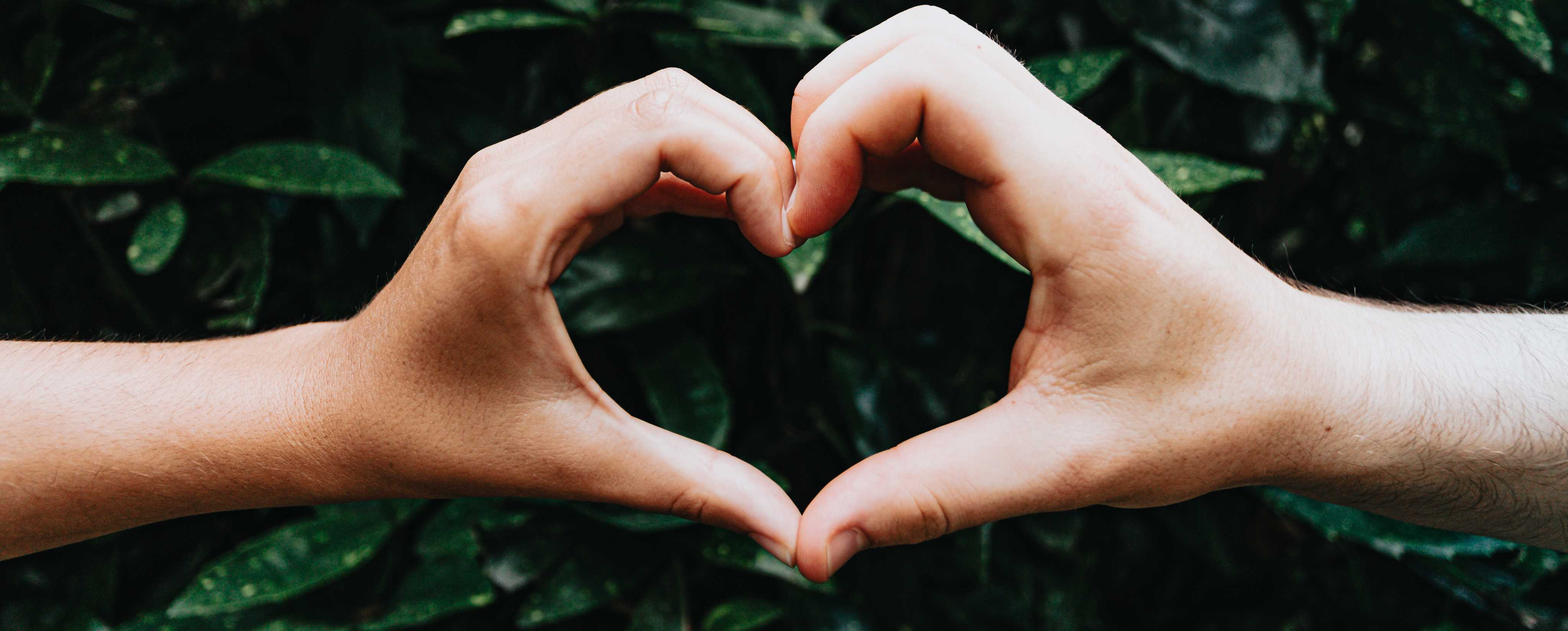 About Us Banner - Etanics